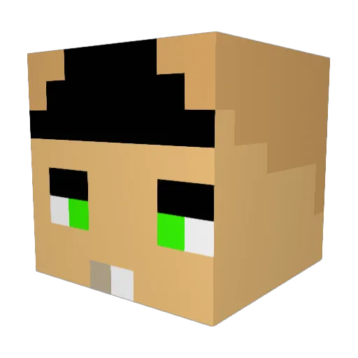 FanNick Minecraft avatar head, 3D render