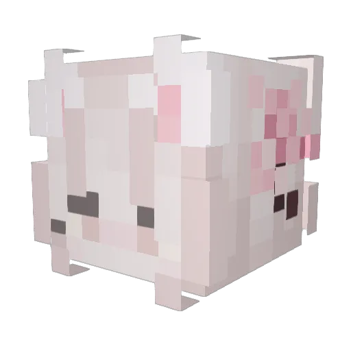 FanOfDagestan Minecraft avatar head, 3D render