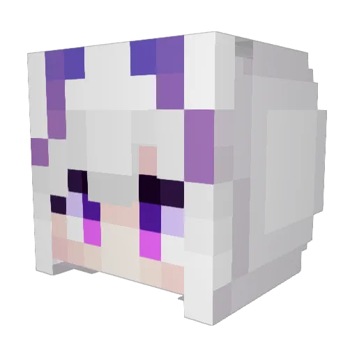 FanOfWolves Minecraft avatar head, 3D render