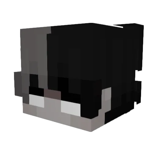 FanThomas_ Minecraft avatar head, 3D render