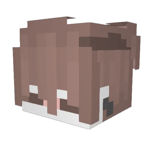 FanYan_ Minecraft avatar head, 3D render