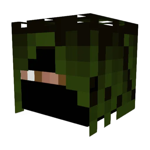 Fan_Cookie Minecraft avatar head, 3D render