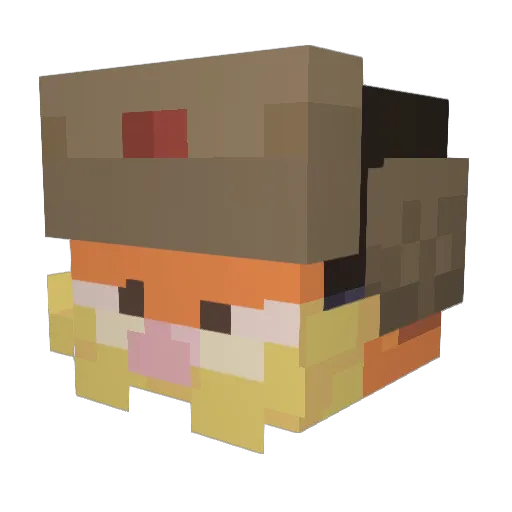 Fana0 Minecraft avatar head, 3D render