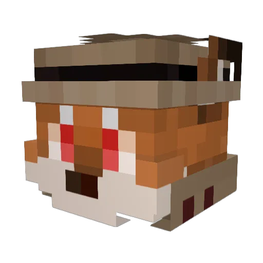 Fanaow Minecraft avatar head, 3D render