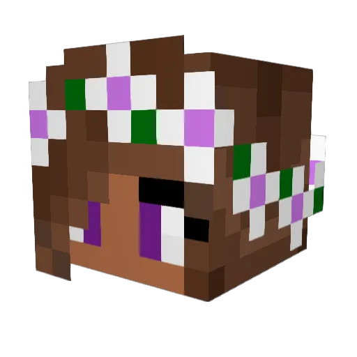 Fanatacinema Minecraft avatar head, 3D render