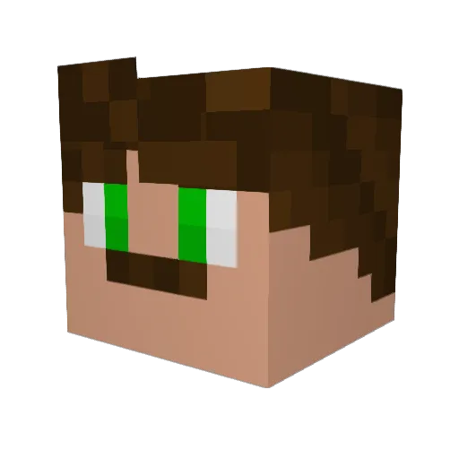 Fanatic815 Minecraft avatar head, 3D render