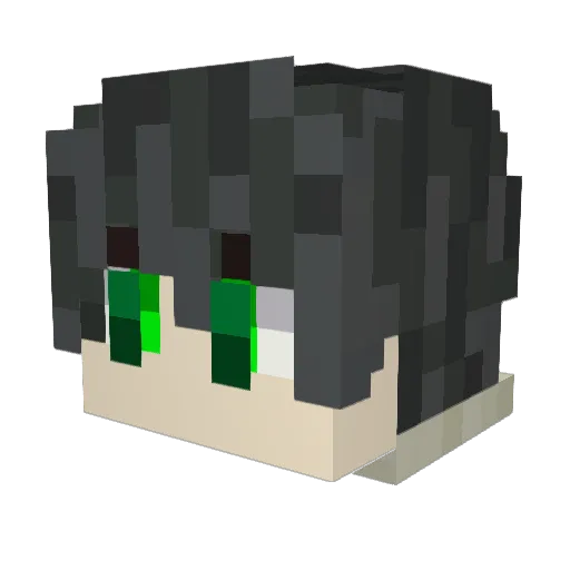 FanaticBook8999 Minecraft avatar head, 3D render