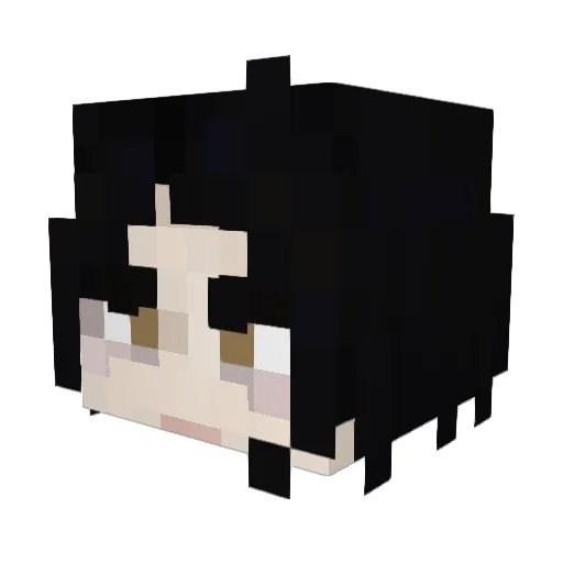 FanaticBook9828 Minecraft avatar head, 3D render