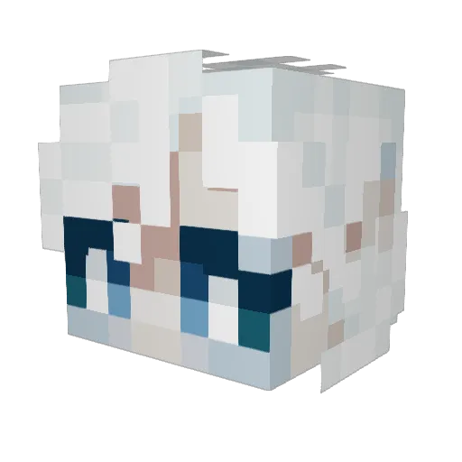FanaticSleet Minecraft avatar head, 3D render