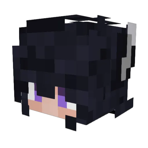 FanaticWave5960 Minecraft avatar head, 3D render