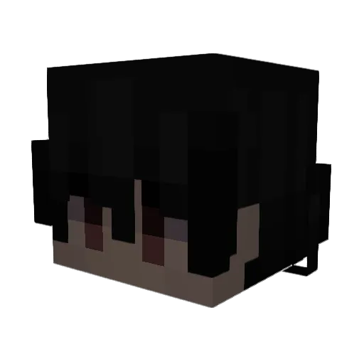 Fanaticonfi0414 Minecraft avatar head, 3D render