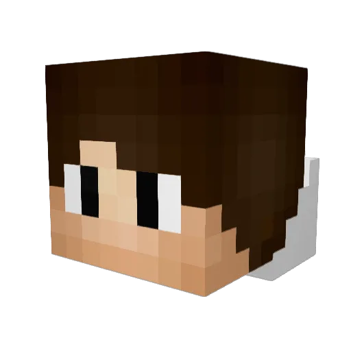 Fanatik_59 Minecraft avatar head, 3D render