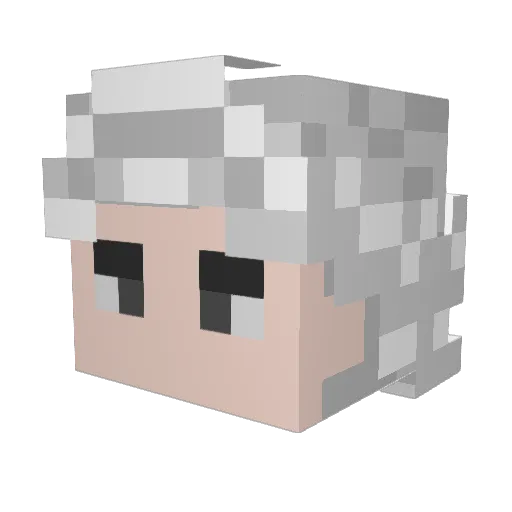 Fanatikrol Minecraft avatar head, 3D render