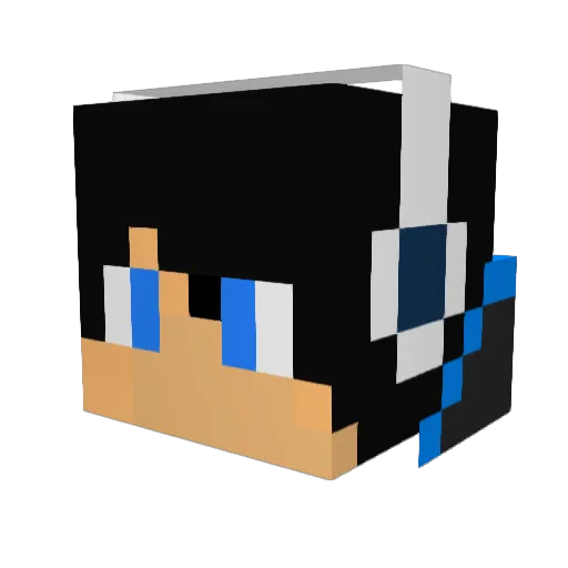 Fanbuscus64 Minecraft avatar head, 3D render