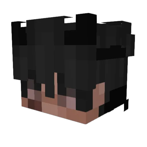 Fanbvmpa Minecraft avatar head, 3D render