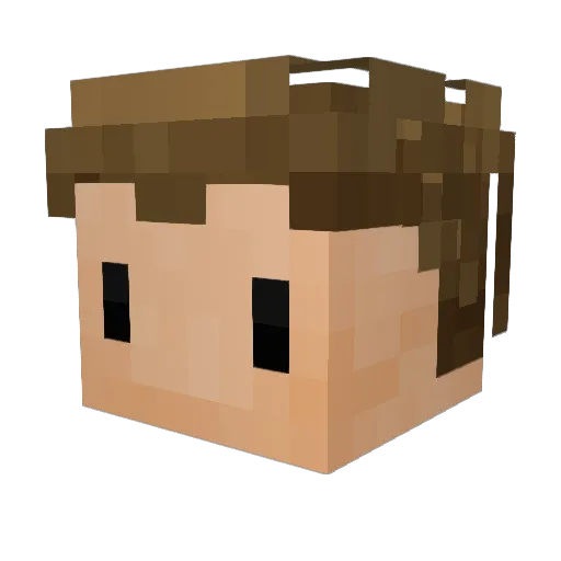 Fancehh Minecraft avatar head, 3D render