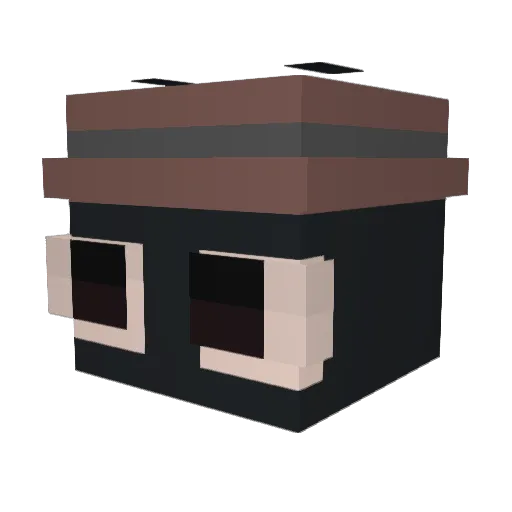Fanci030 Minecraft avatar head, 3D render