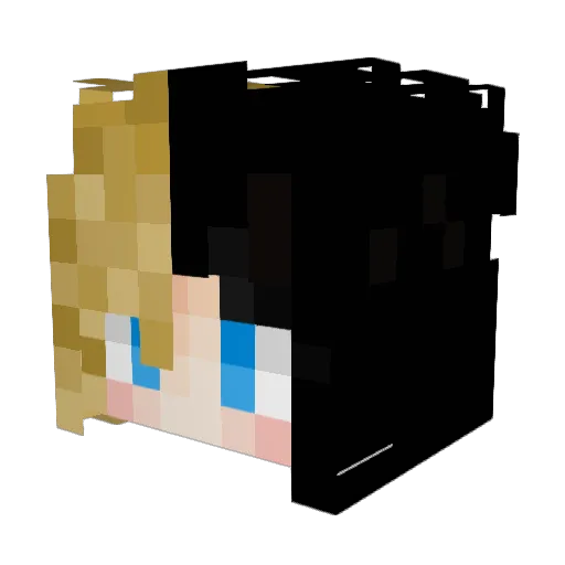 FancierWeevil32 Minecraft avatar head, 3D render