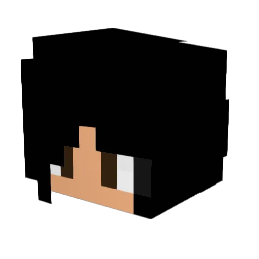 Fancy803 Minecraft avatar head, 3D render