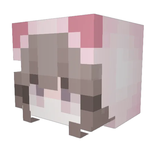 FancyBB Minecraft avatar head, 3D render
