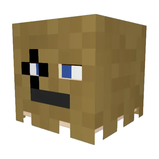 FancyBagMan Minecraft avatar head, 3D render