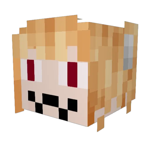 FancyCatPL Minecraft avatar head, 3D render