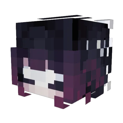 FancyDancer15 Minecraft avatar head, 3D render