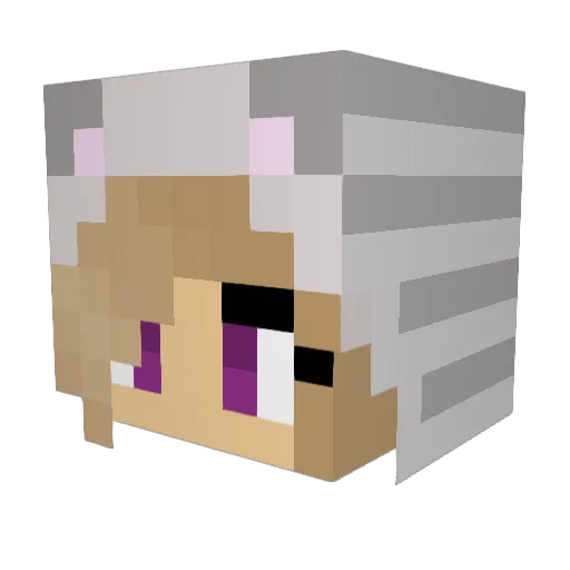 FancyKitties Minecraft avatar head, 3D render