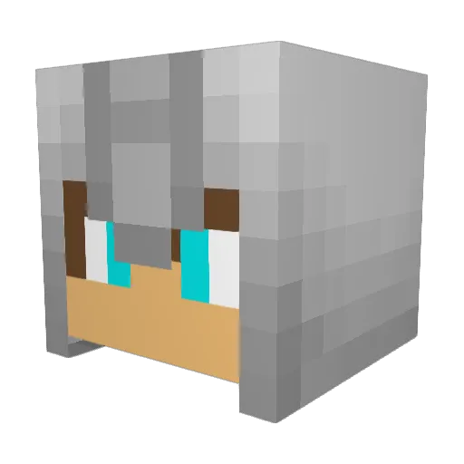 FancyProtector Minecraft avatar head, 3D render