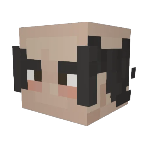 FancySammich Minecraft avatar head, 3D render