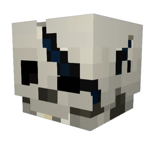 FancySno Minecraft avatar head, 3D render