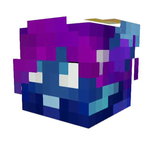 FancyStranger509 Minecraft avatar head, 3D render