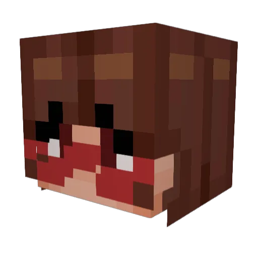 Fancy_Chicken417 Minecraft avatar head, 3D render