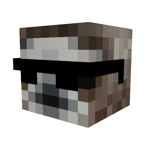 Fancy_Dancy Minecraft avatar head, 3D render