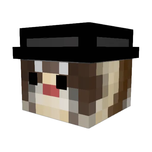 Fancy_Ferret Minecraft avatar head, 3D render