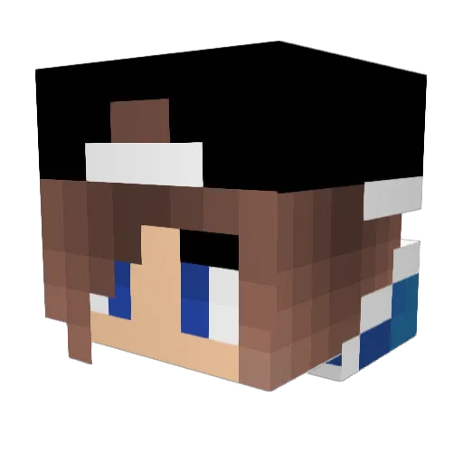 Fancy_Kitty Minecraft avatar head, 3D render