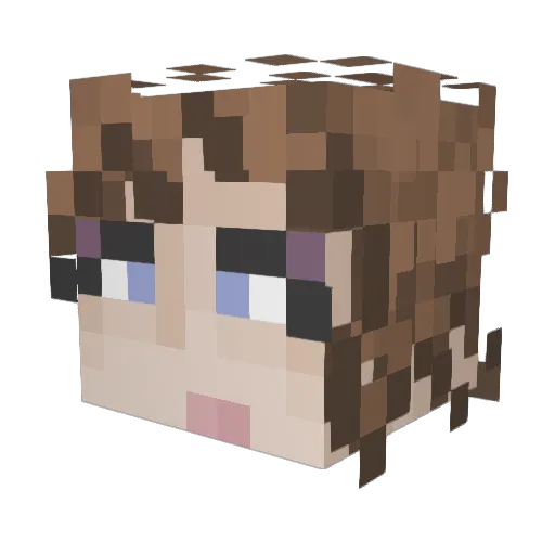 Fancy_Nancy8e Minecraft avatar head, 3D render