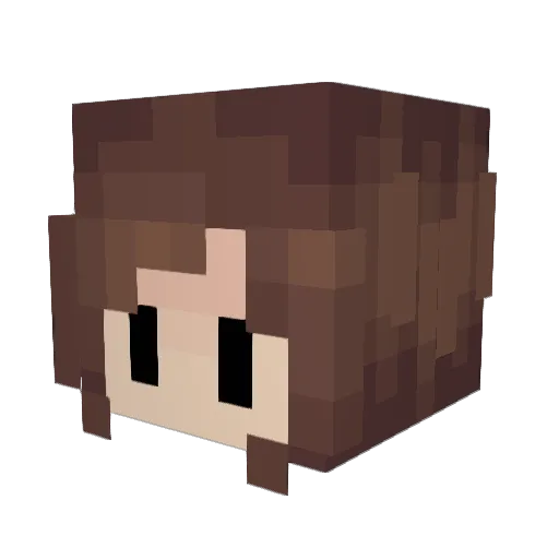 Fancy_Raptor Minecraft avatar head, 3D render