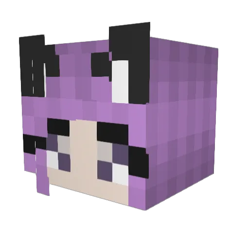 Fancycatz89 Minecraft avatar head, 3D render