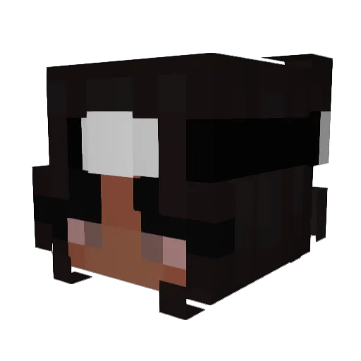 Fancyhobo_ Minecraft avatar head, 3D render