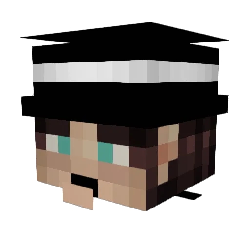 FancyintheHouse Minecraft avatar head, 3D render