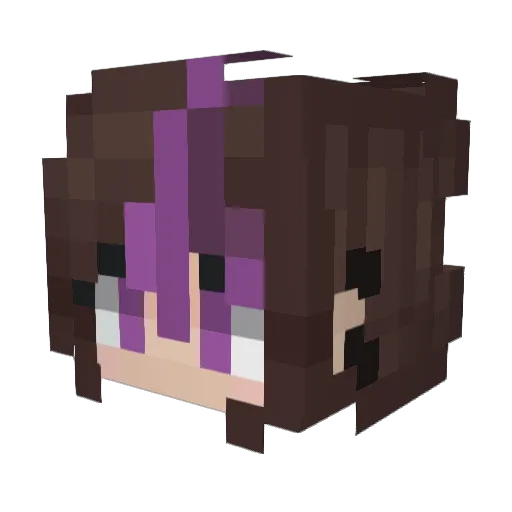 Fancysky Minecraft avatar head, 3D render