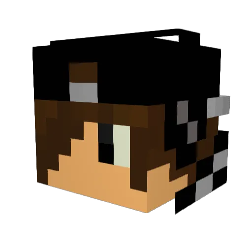Fanda2004 Minecraft avatar head, 3D render