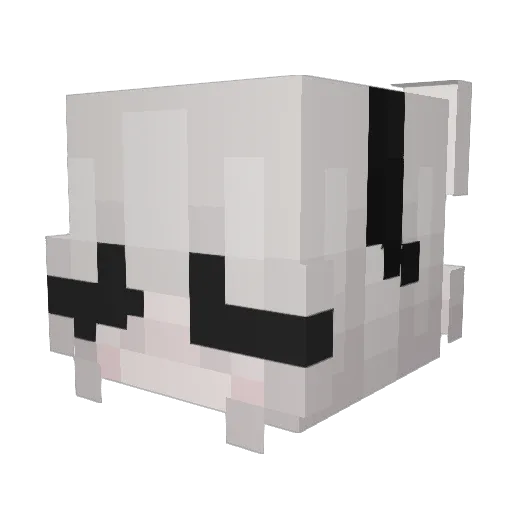FandeAlesaaa Minecraft avatar head, 3D render