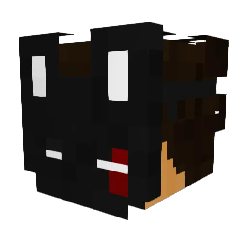 Fanderio Minecraft avatar head, 3D render