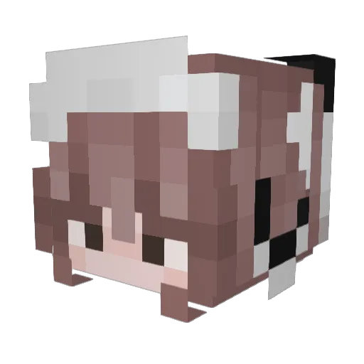 Fandi0823 Minecraft avatar head, 3D render