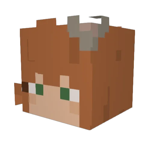 Fandom_Ben Minecraft avatar head, 3D render