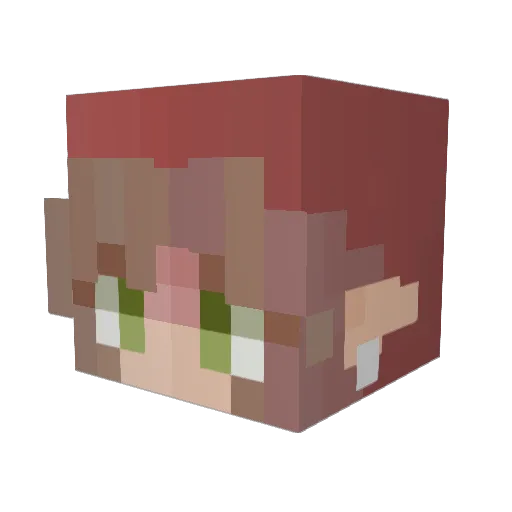 Fandonkulus Minecraft avatar head, 3D render