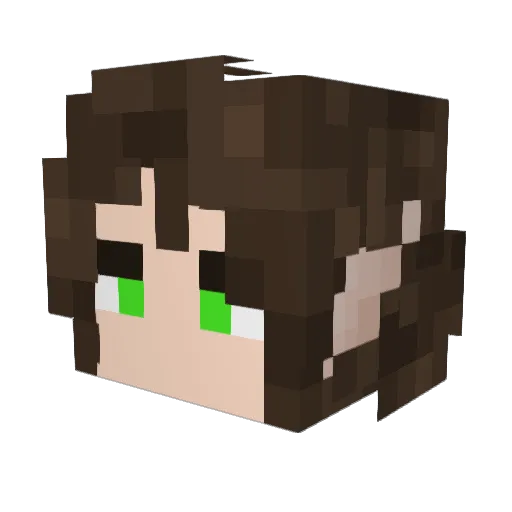 Fandwyn Minecraft avatar head, 3D render