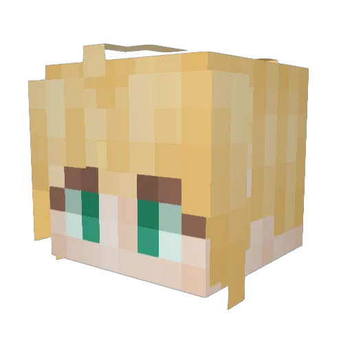 Fane123 Minecraft avatar head, 3D render